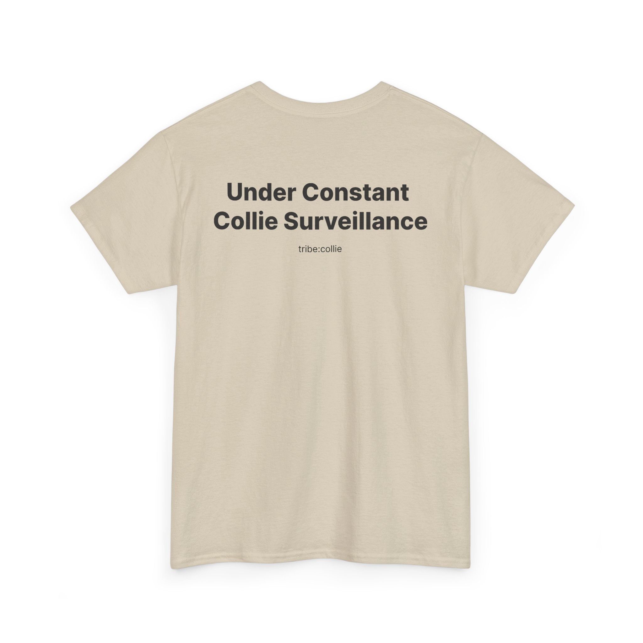 Under Surveillance T‑Shirt BACK