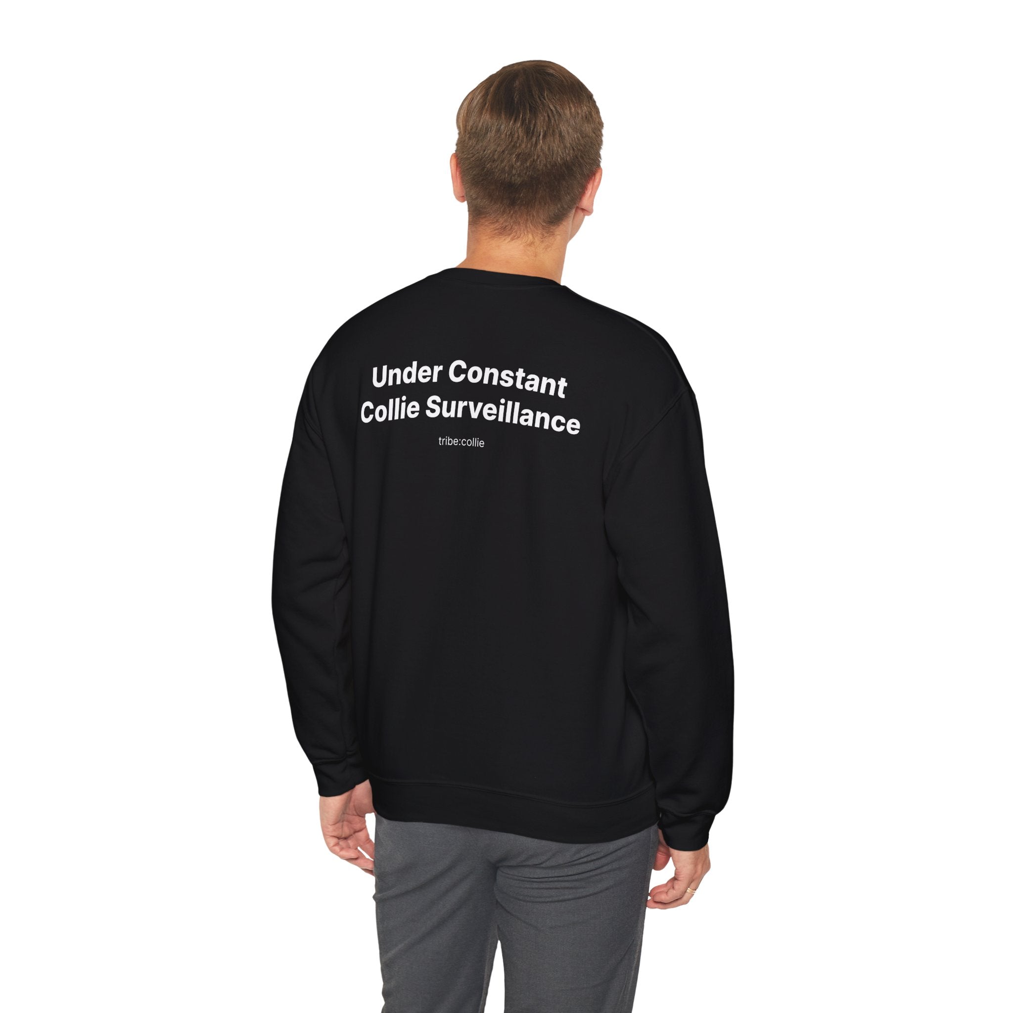 Under Surveillance (BACK) - Unisex Crewneck Heavy Blend™