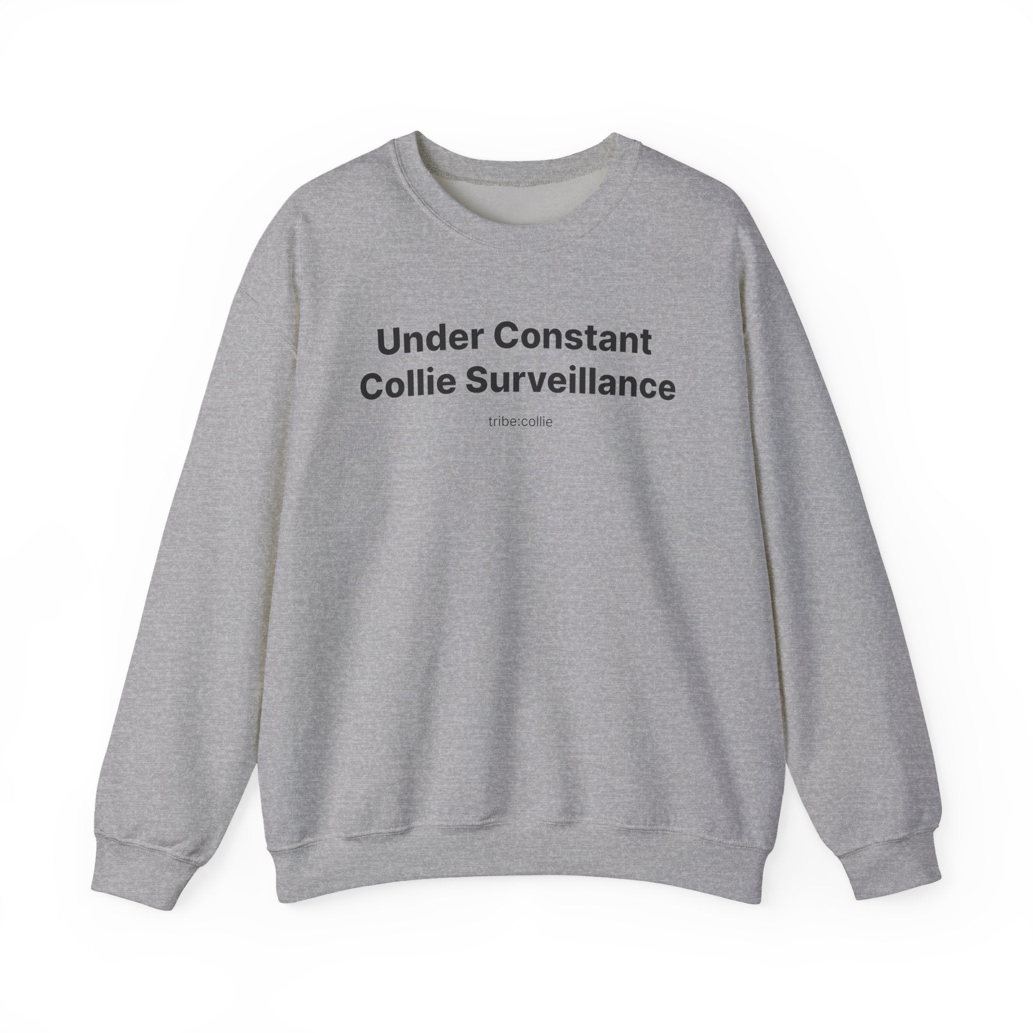 Under Surveillance (front) - Unisex Crewneck Heavy Blend™