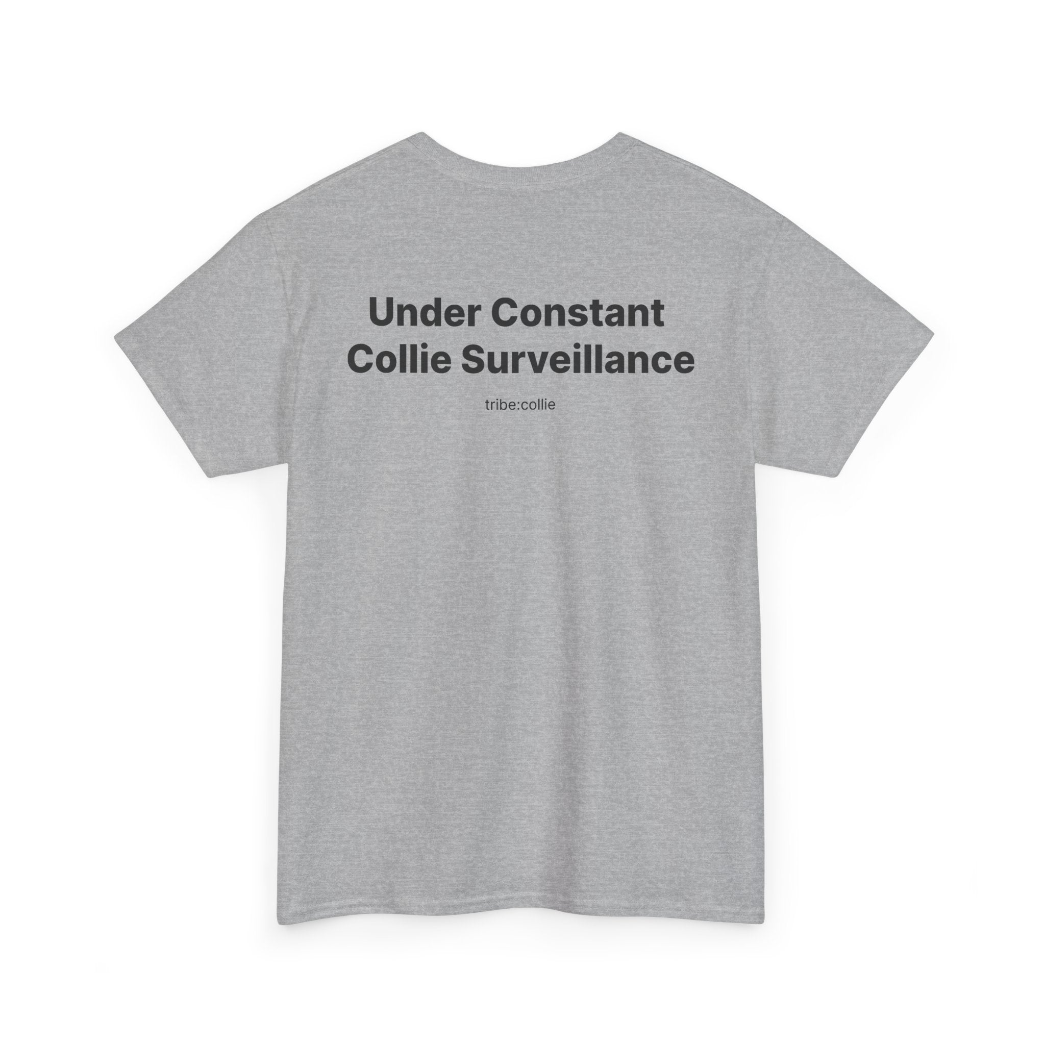 Under Surveillance T‑Shirt BACK