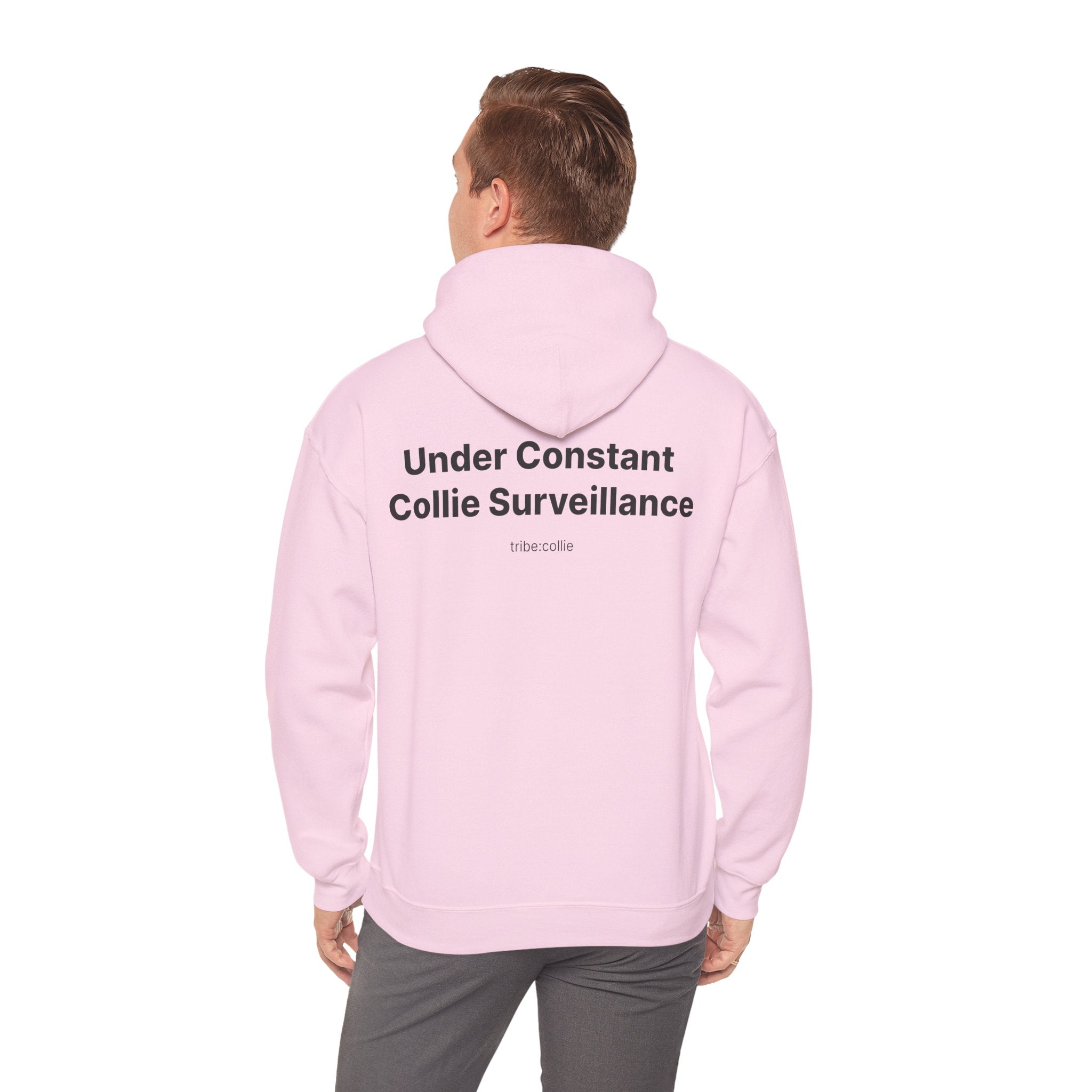 Under Surveillance Collie Hoodie — Minimal Definition Graphic Pullover (BACK)