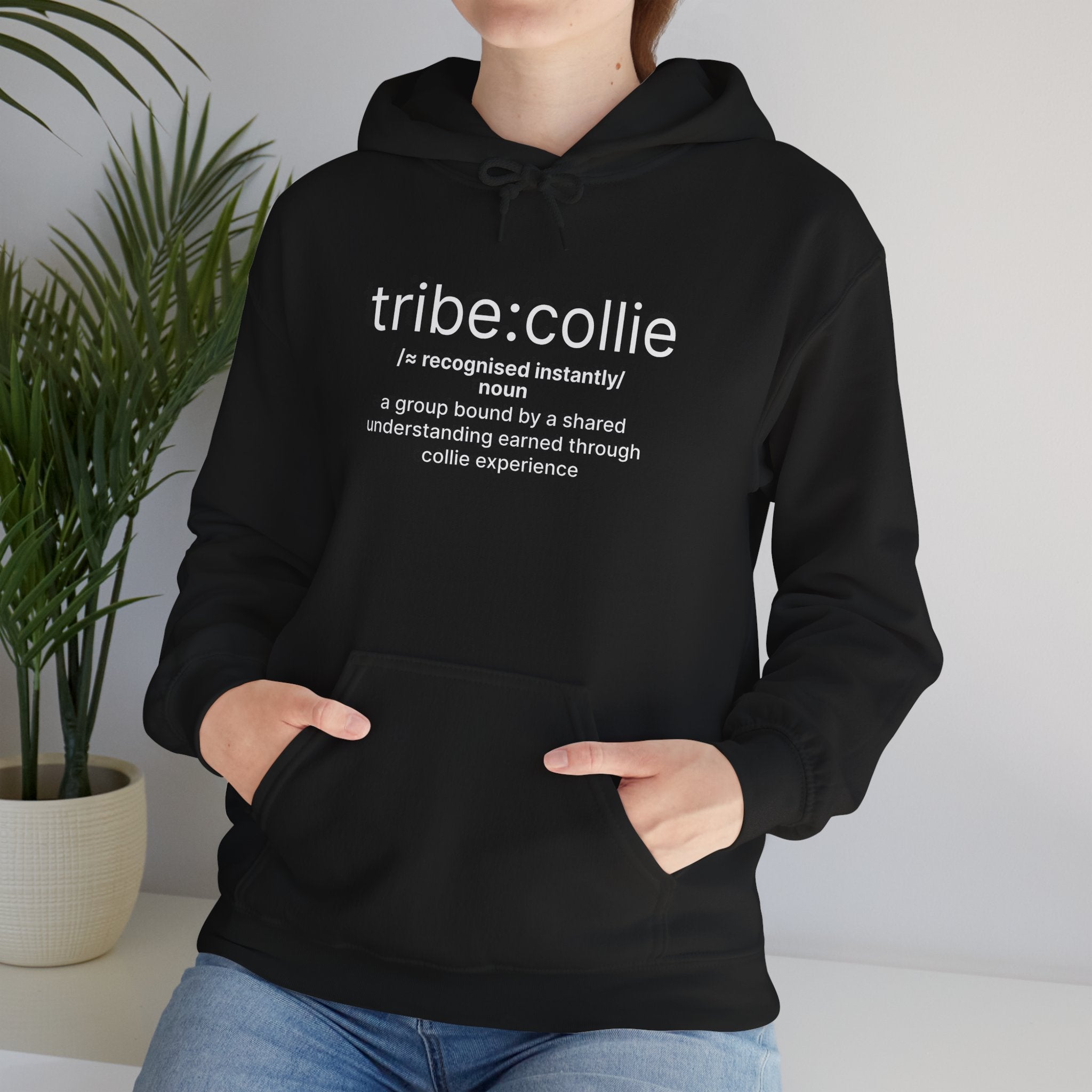 Tribe Collie Definition Hoodie - Minimal Definition Graphic Pullover