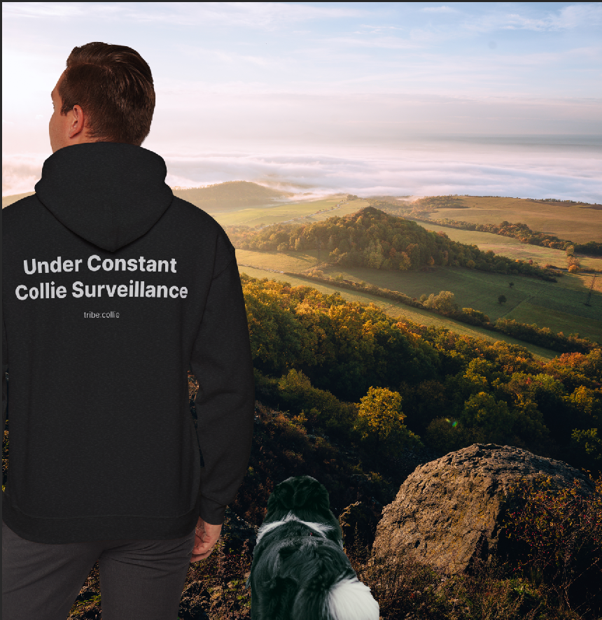 Under Surveillance Collie Hoodie — Minimal Definition Graphic Pullover (BACK)