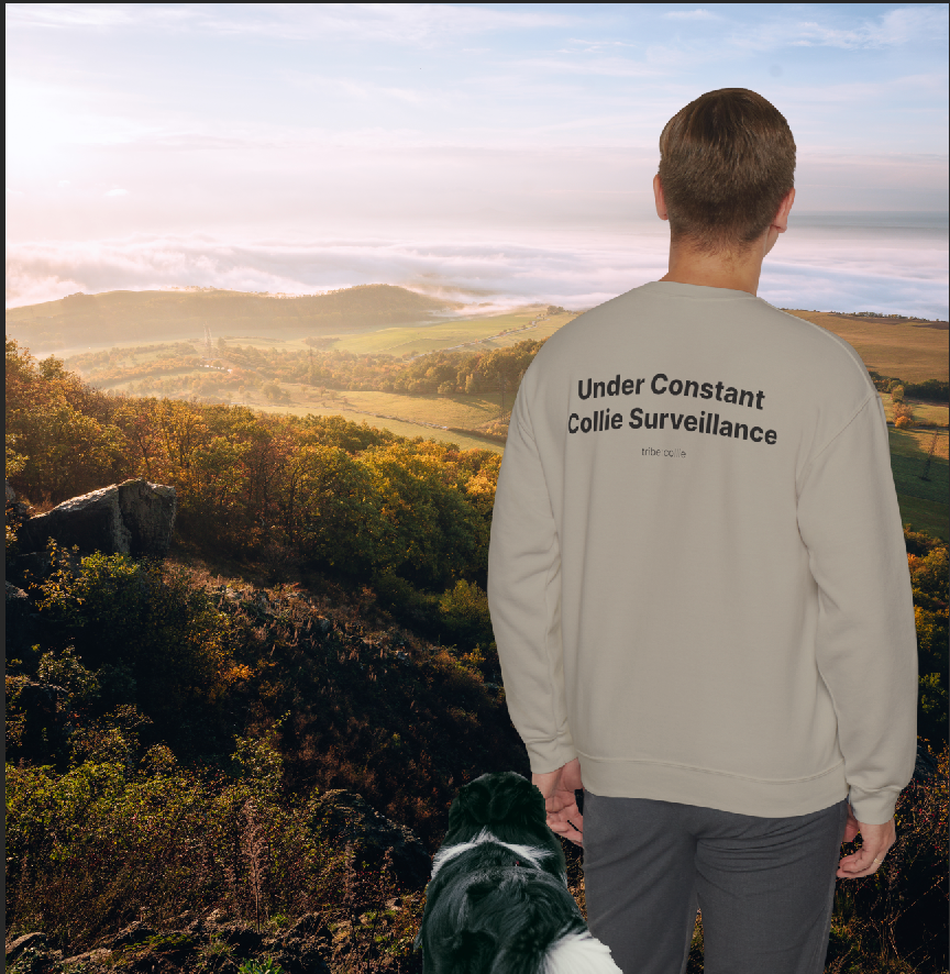 Under Surveillance (BACK) - Unisex Crewneck Heavy Blend™