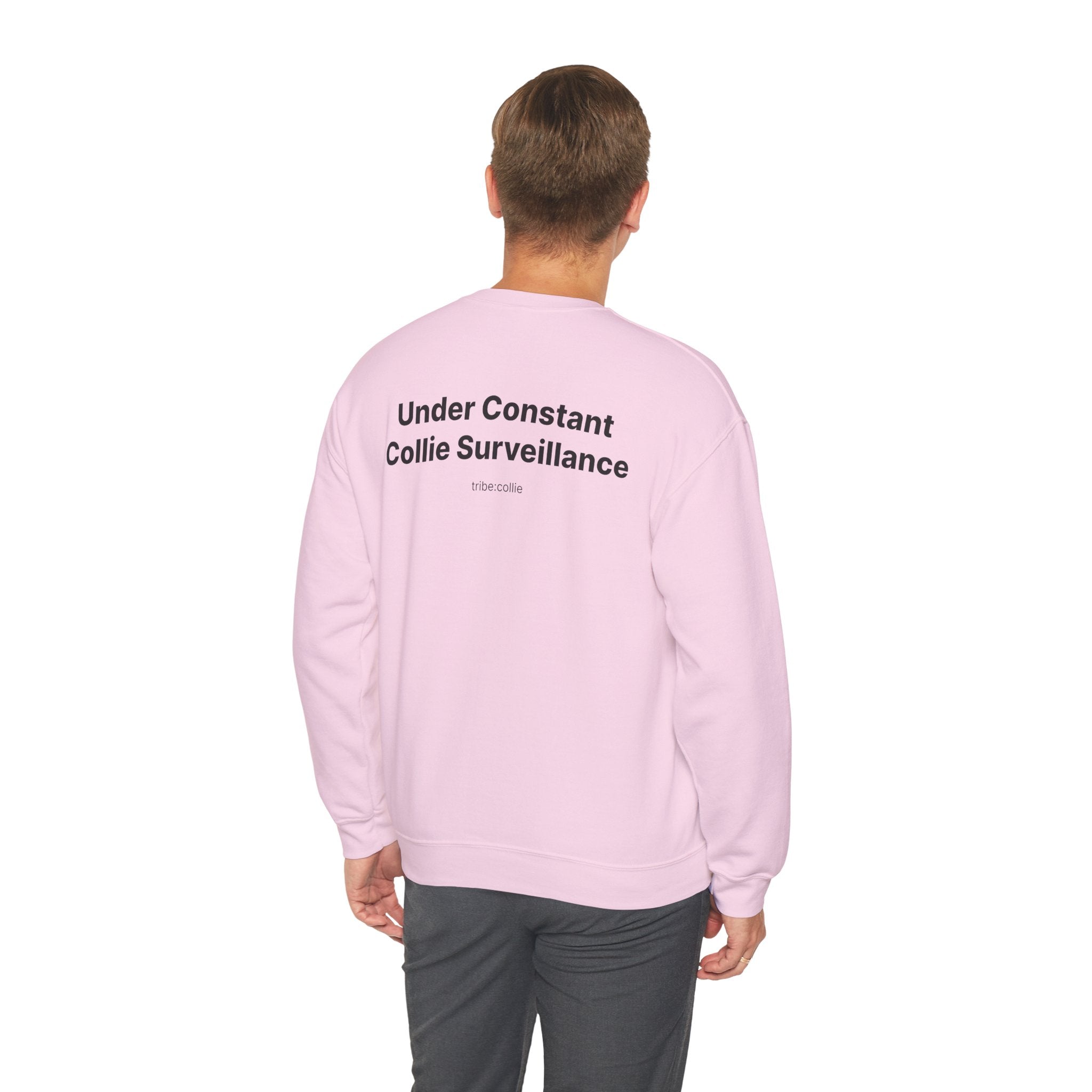 Under Surveillance (BACK) - Unisex Crewneck Heavy Blend™
