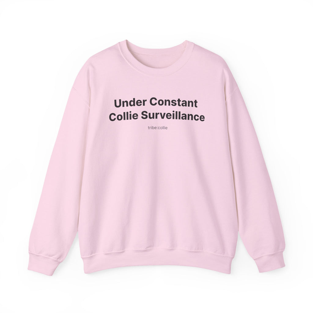 Under Surveillance (front) - Unisex Crewneck Heavy Blend™