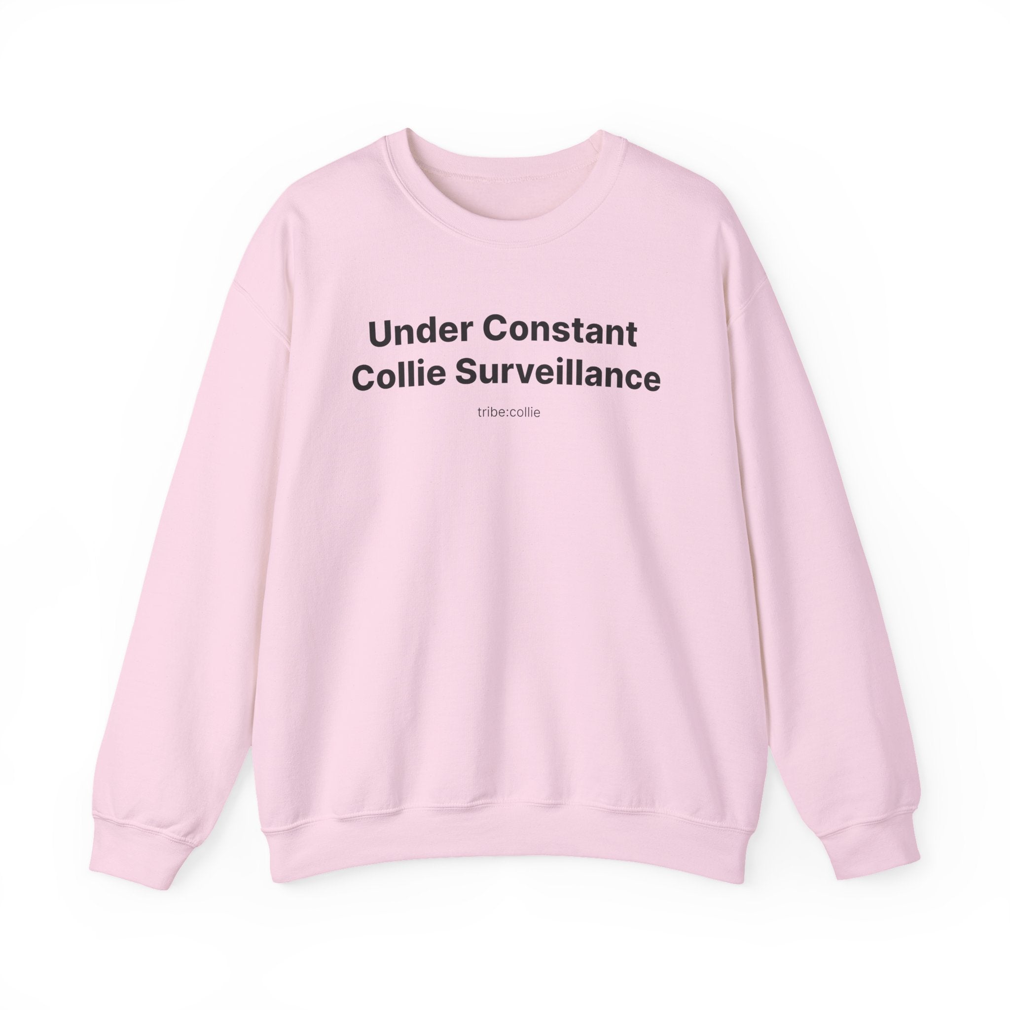 Under Surveillance (front) - Unisex Crewneck Heavy Blend™