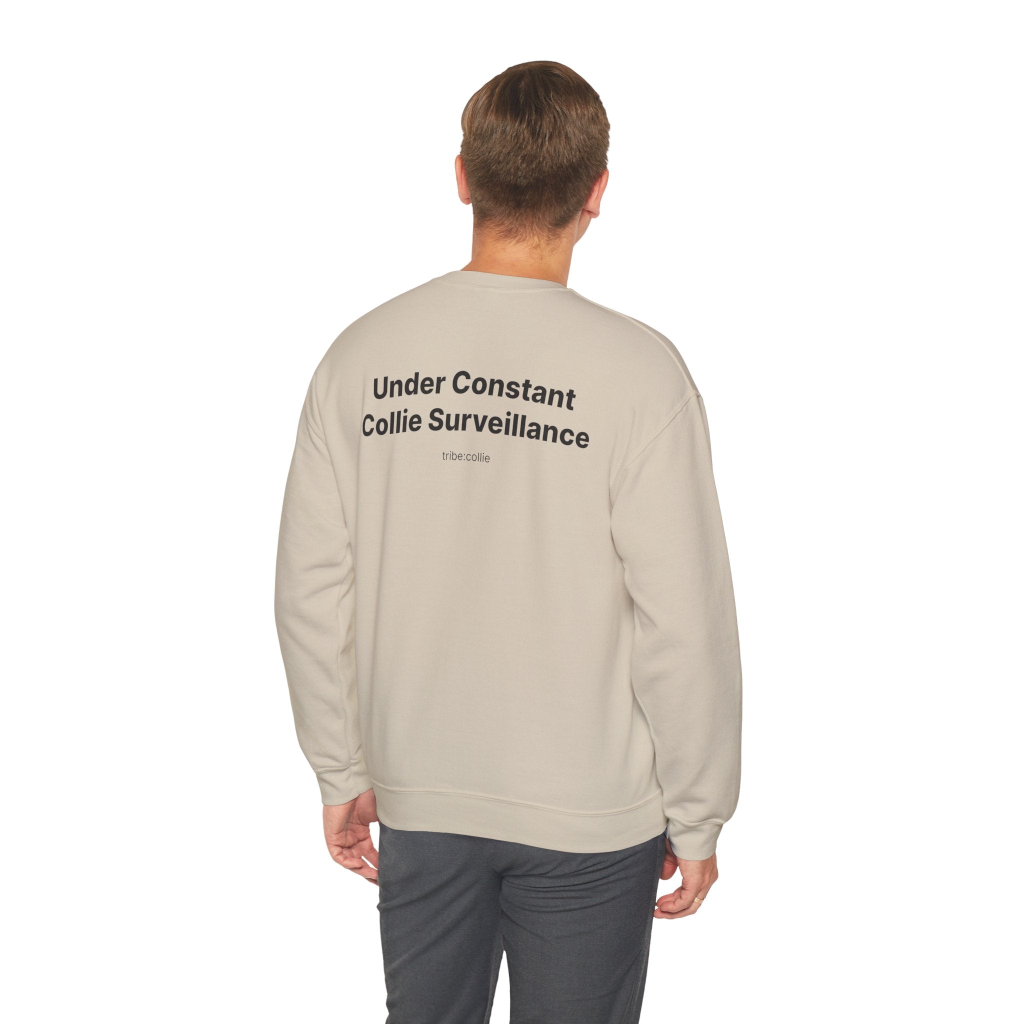 Under Surveillance (BACK) - Unisex Crewneck Heavy Blend™