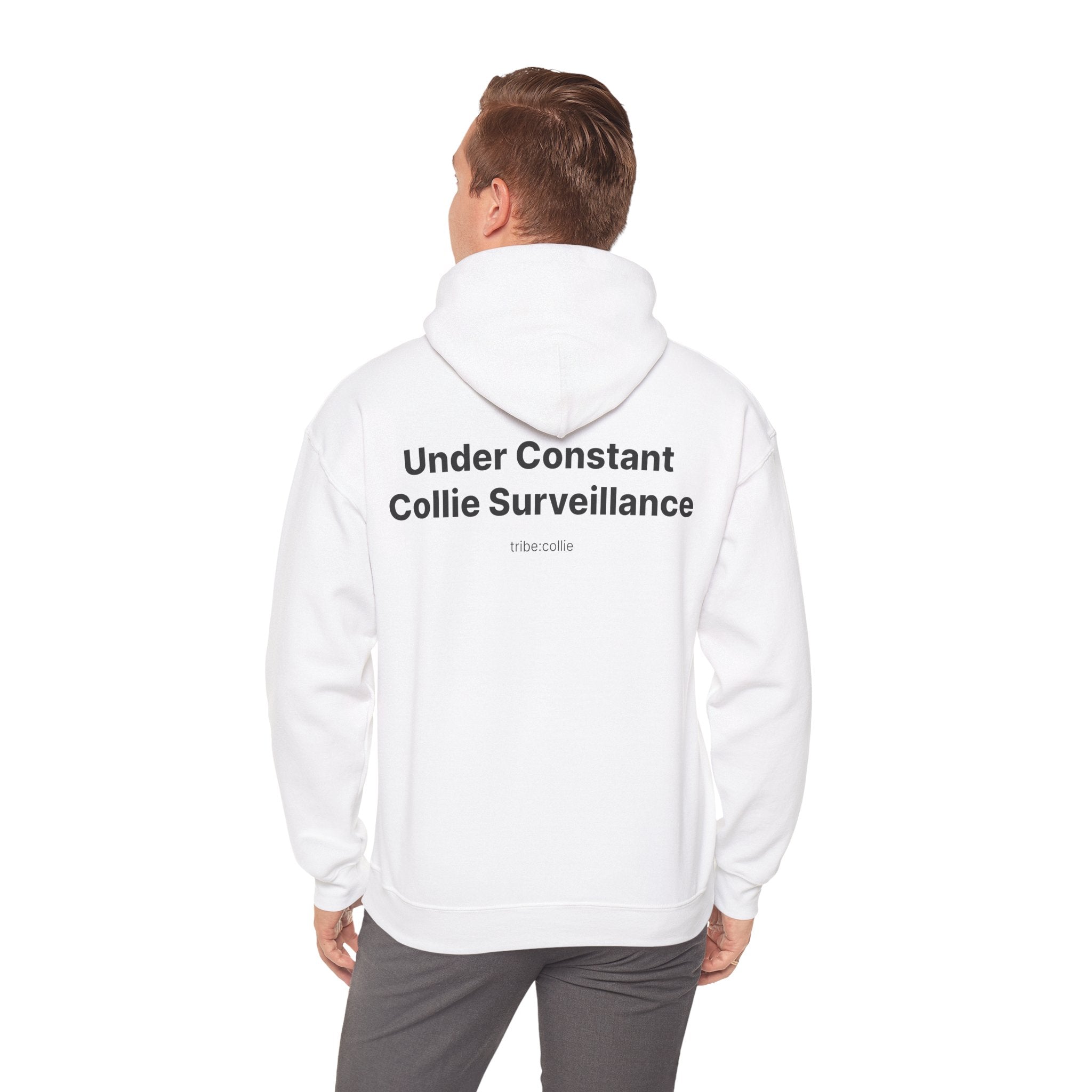 Under Surveillance Collie Hoodie — Minimal Definition Graphic Pullover (BACK)