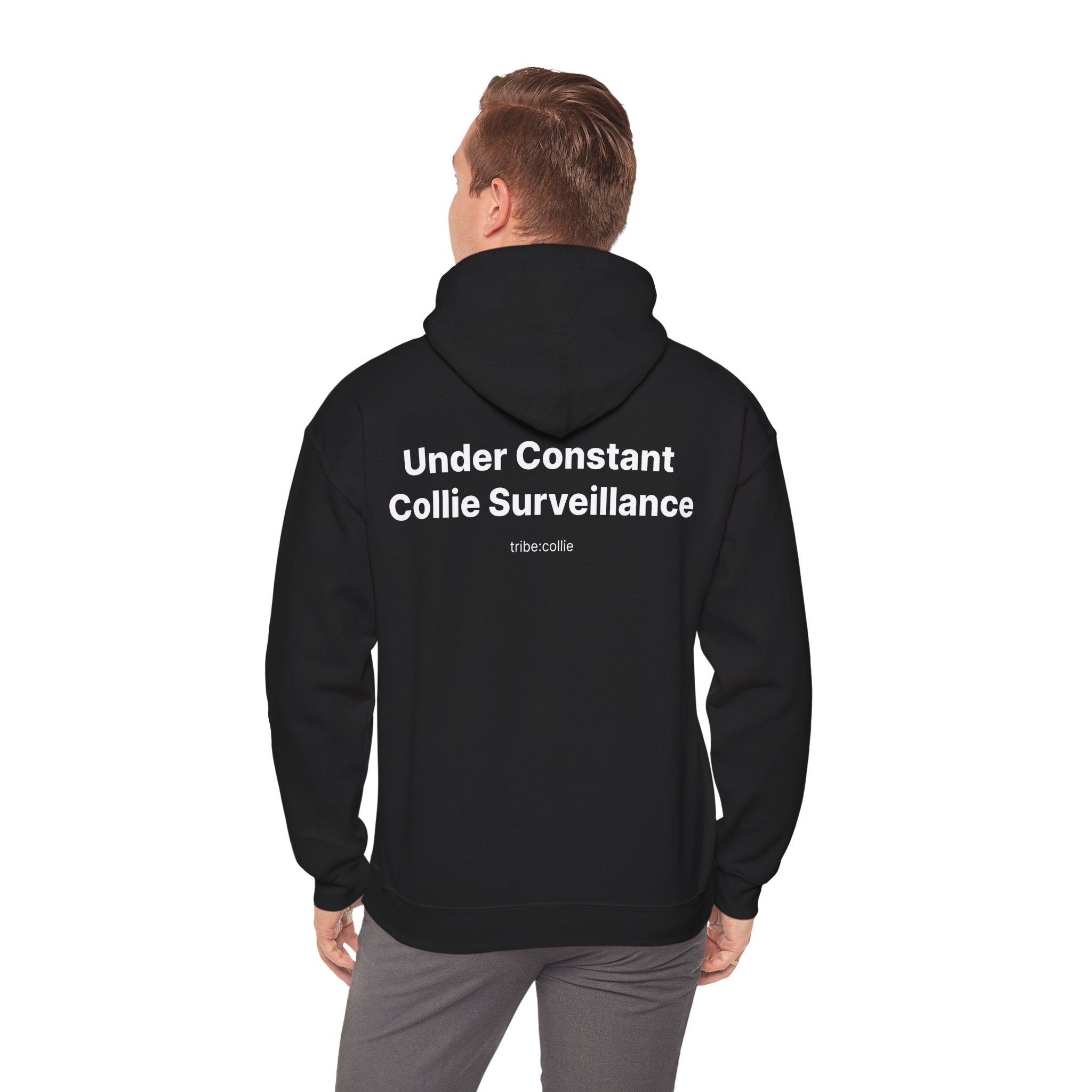 Under Surveillance Collie Hoodie — Minimal Definition Graphic Pullover (BACK)