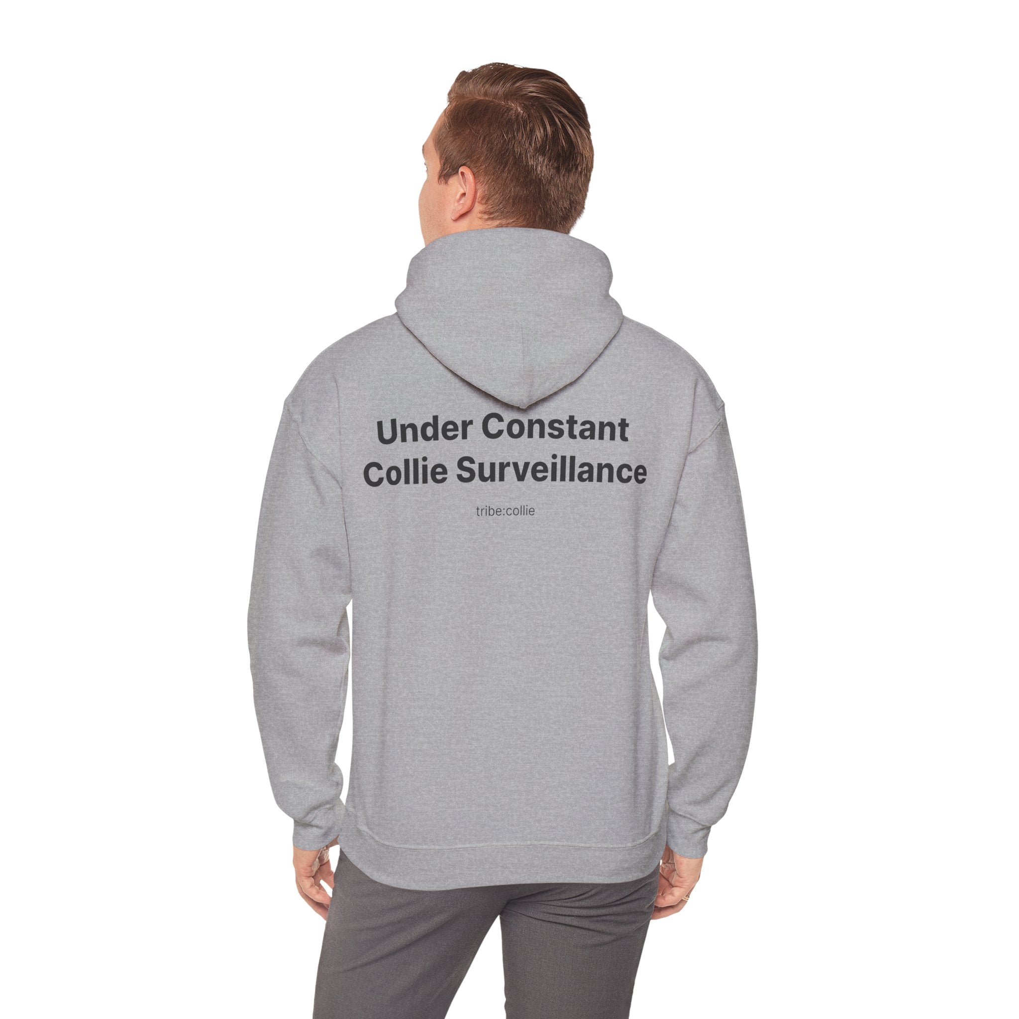Under Surveillance Collie Hoodie — Minimal Definition Graphic Pullover (BACK)