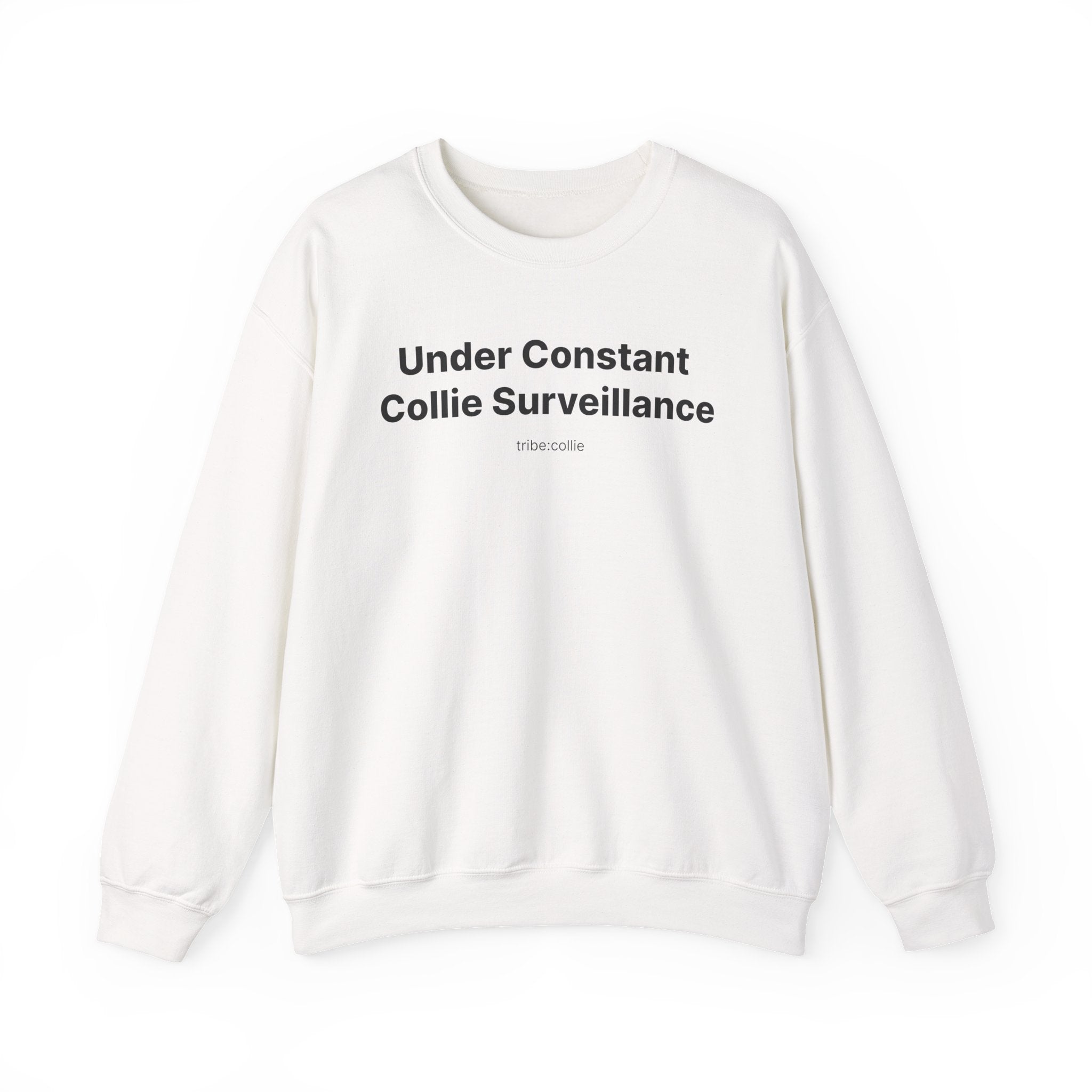Under Surveillance (front) - Unisex Crewneck Heavy Blend™