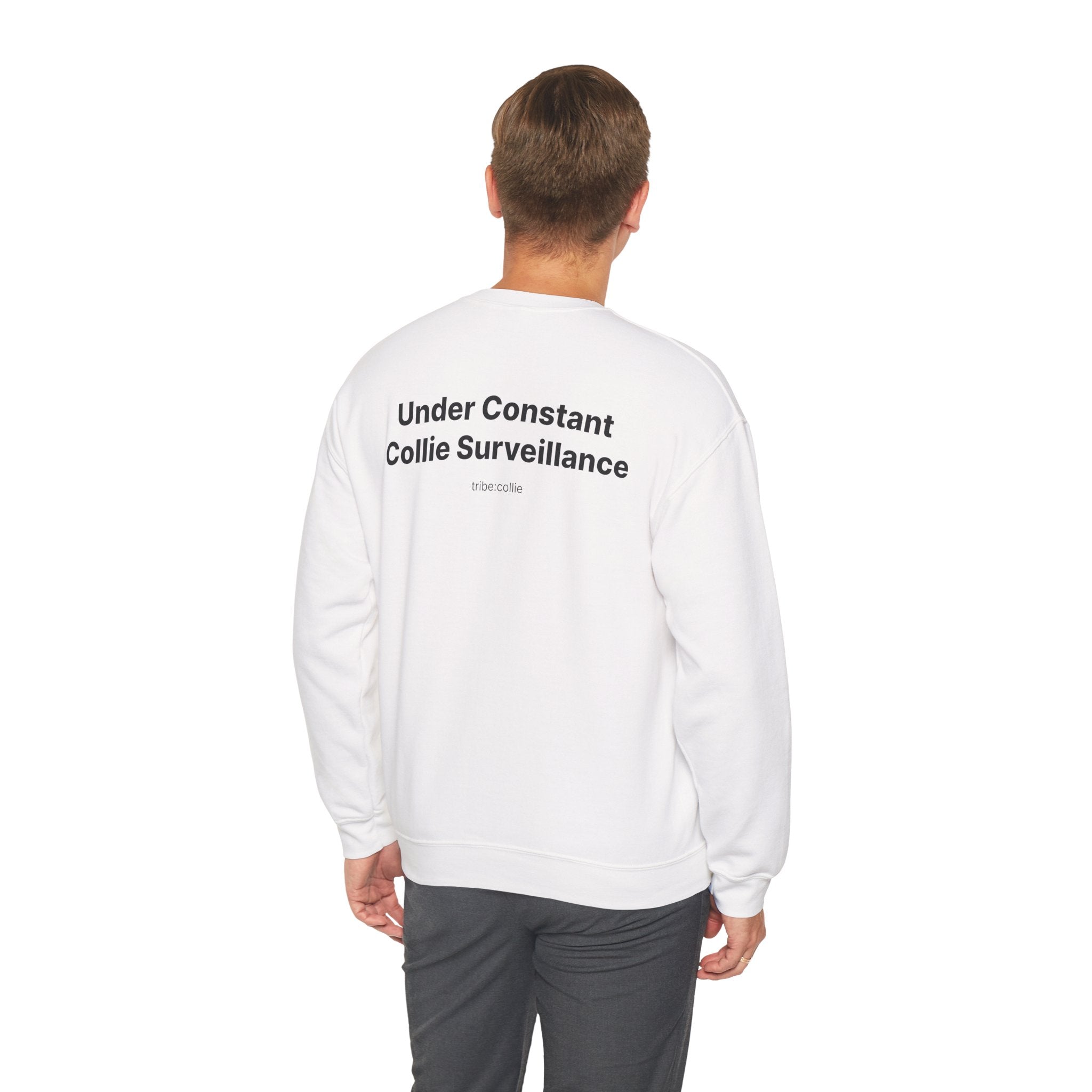 Under Surveillance (BACK) - Unisex Crewneck Heavy Blend™