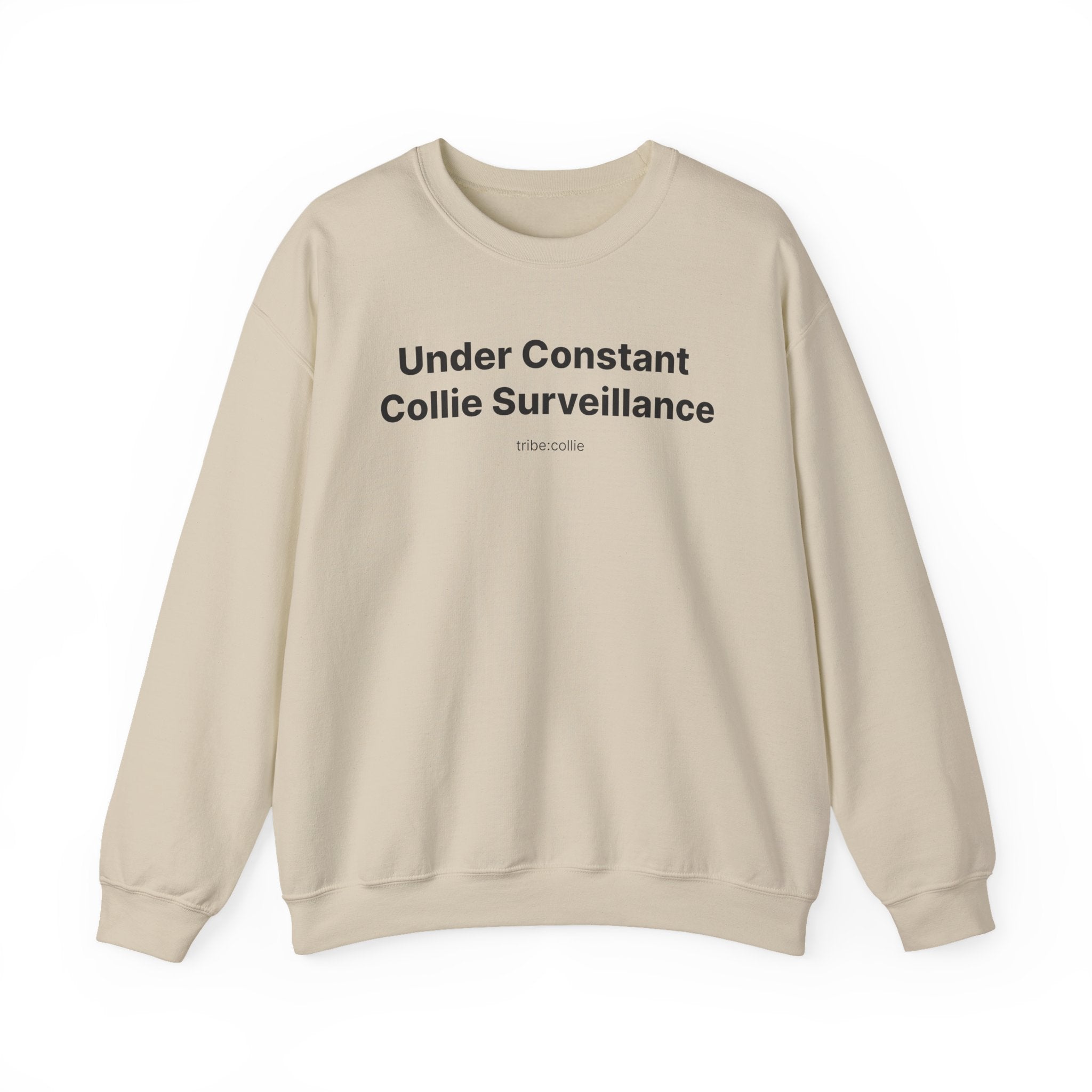 Under Surveillance (front) - Unisex Crewneck Heavy Blend™